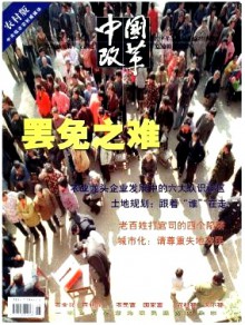 中国改革·农村版杂志